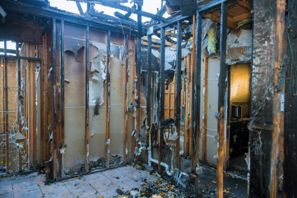Professional Smoke Damage Removal technician working in Lenni, PA